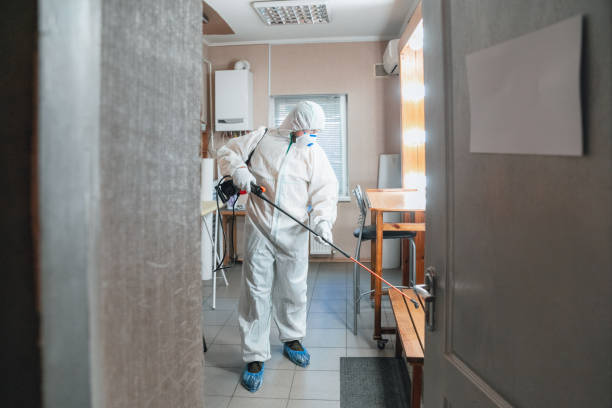 Biohazard Mold Removal in Summersville, WV