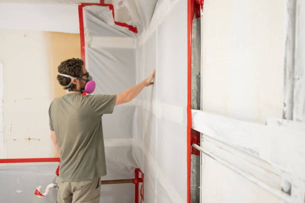 Best Commercial Mold Inspection  in Summersville, WV
