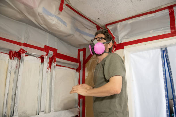 Professional Mold Removal in Summersville, WV
