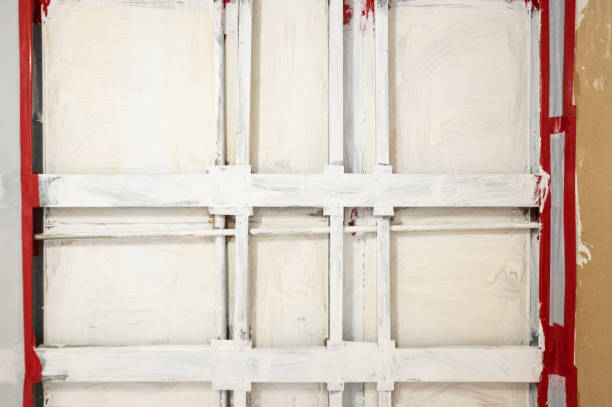 Best Airborne Mold Testing  in Summersville, WV