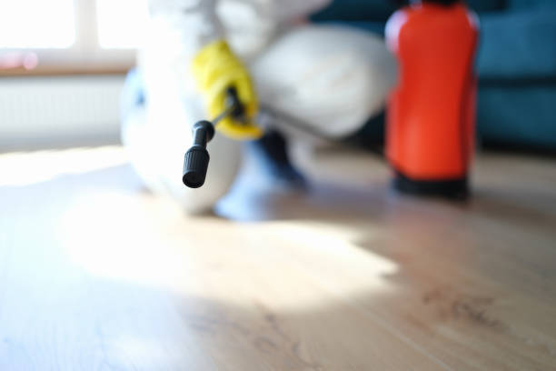 Mold Odor Removal Services in Summersville, WV