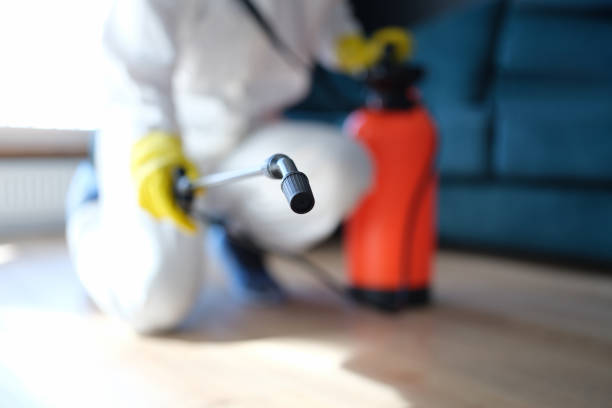 Best Forensic Mold Investigation  in Summersville, WV