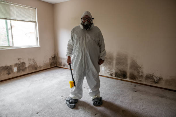Best Air Quality Testing for Mold Spores  in Summersville, WV