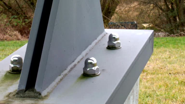 Best Biohazard Mold Removal  in Summersville, WV